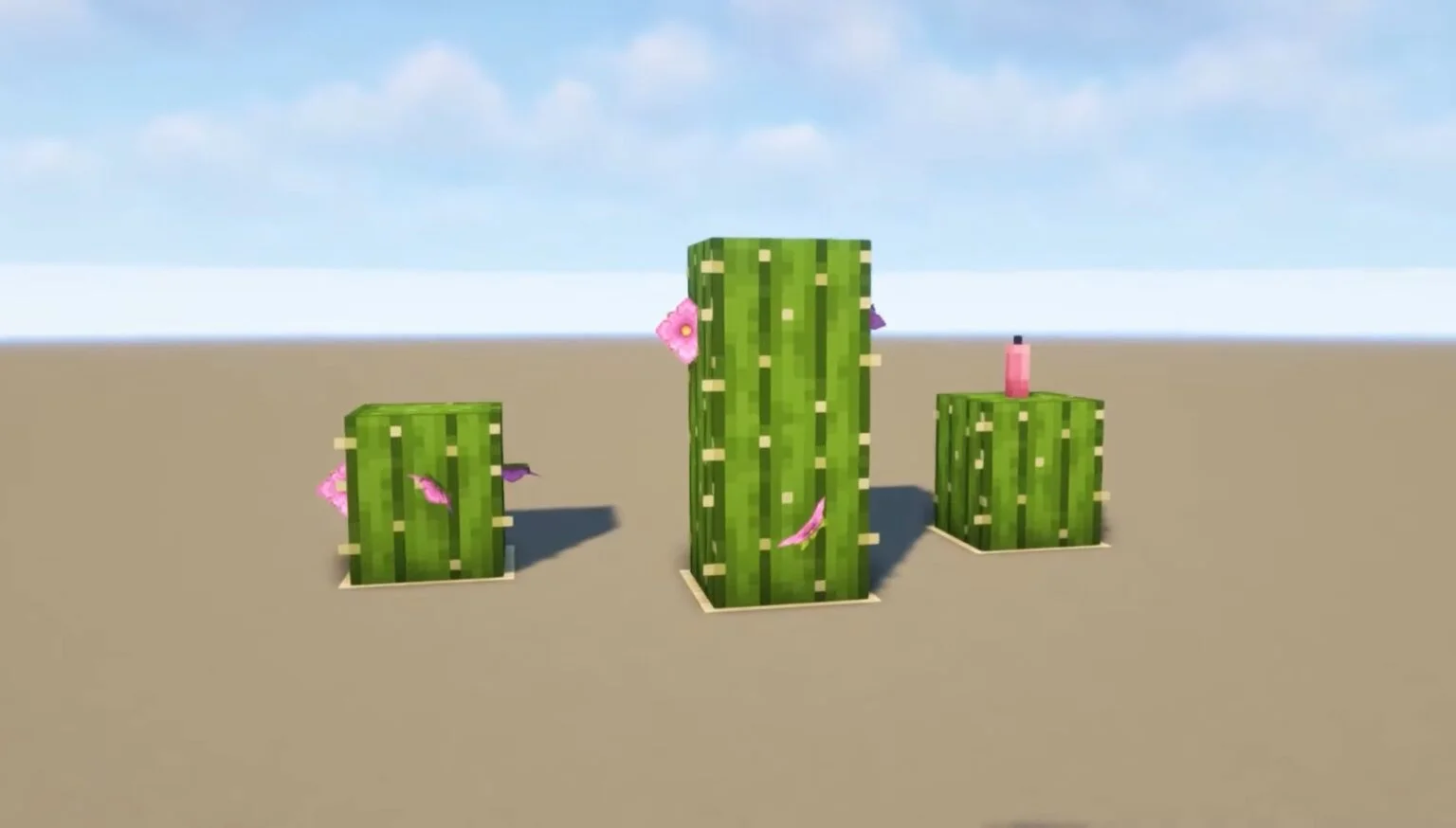 Flower cactus e1642697508847 1536x874.jpg