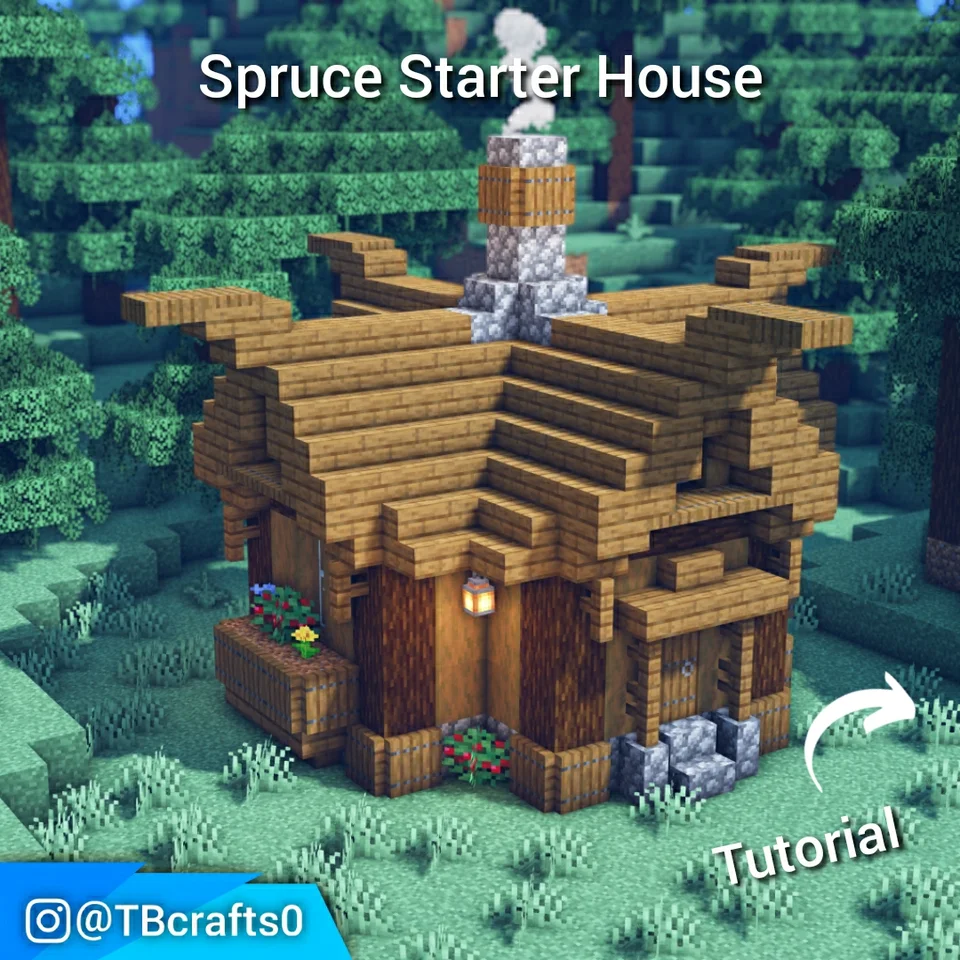 Four sides spruce wood starter house
