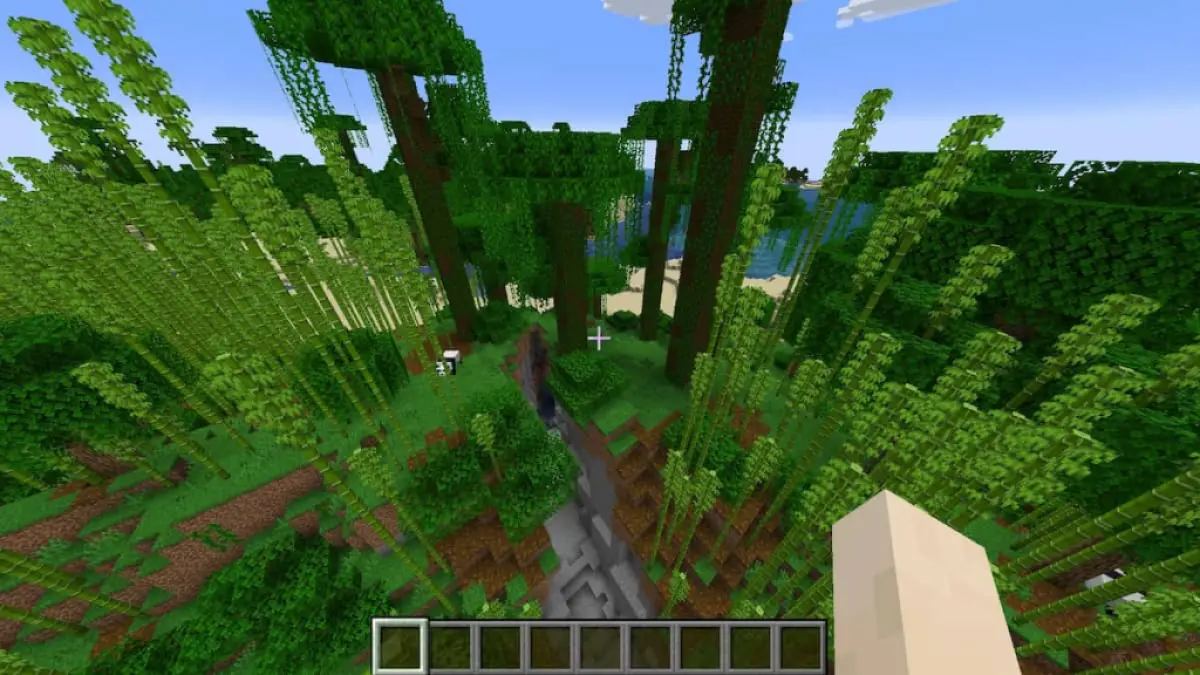 Minecraft bamboo jungle.jpg