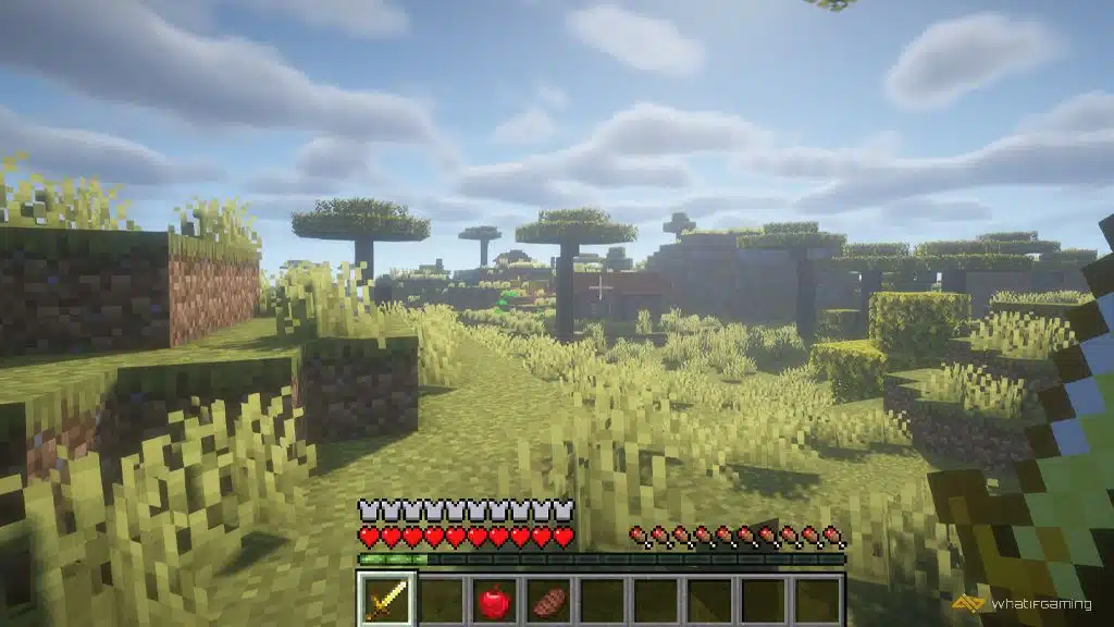 Find a village in minecraft 2.jpg