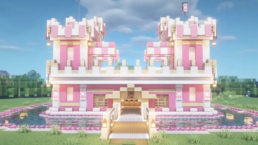Pink castle 1024x576.png