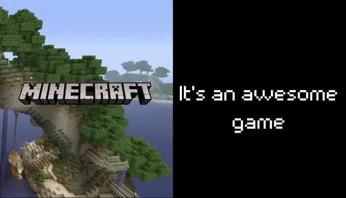 Minecraft awesome game