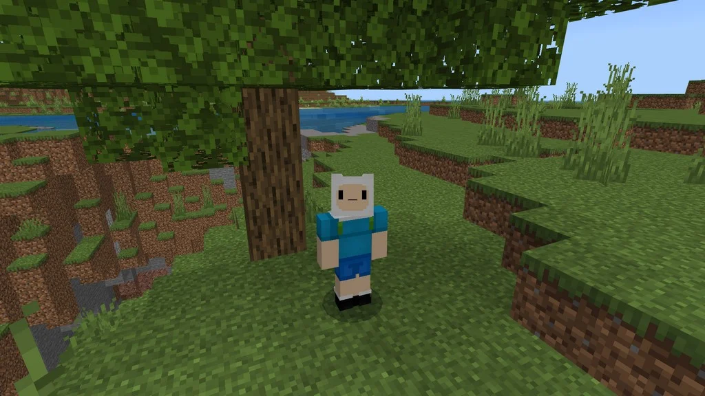 Adventure time skin pack