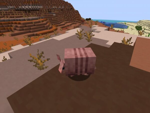 Minecraft armadillo locations badlands hill.jpg