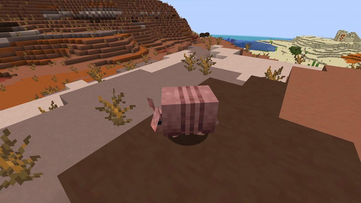 Minecraft armadillo locations badlands hill.jpg