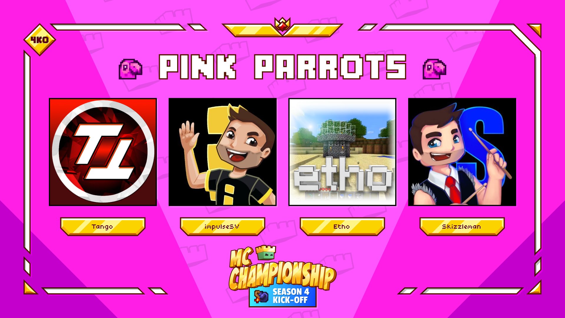 Команда Pink Parrots на 4 сезон чемпионата MC.